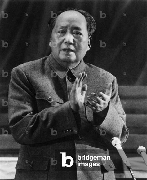 毛澤|Mao Zedong